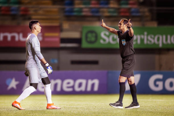 这一温馨的 这一温馨的